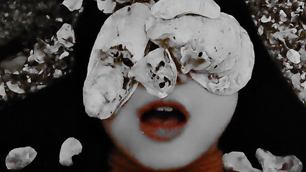 SHELL WE TALK — Cynthia Sio